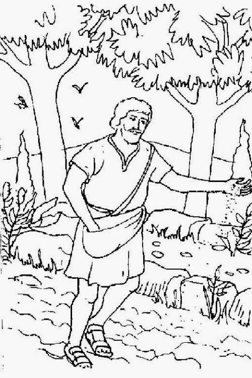 Dibujos Para Colorear De La Parabola del sembrador | Imagenes ... Dibujos Para Colorear De La Parabola del sembrador | Imagenes ...