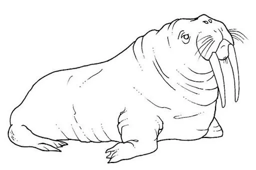 DIBUJOS PARA COLOREAR - Part 200