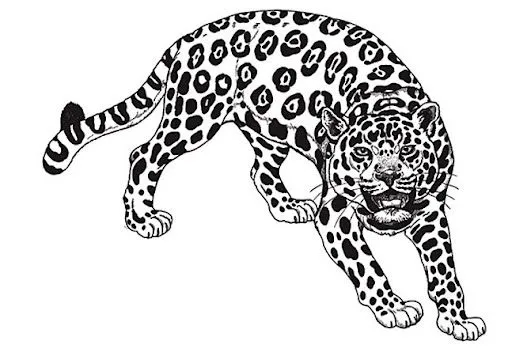 DIBUJOS DE JAGUARES PARA COLOREAR | Dibujos para colorear
