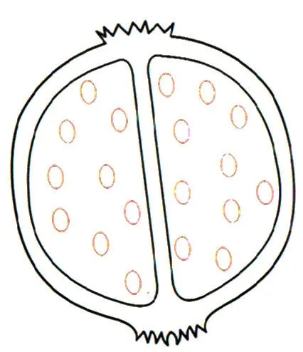 DIBUJOS PARA COLOREAR - Part 629
