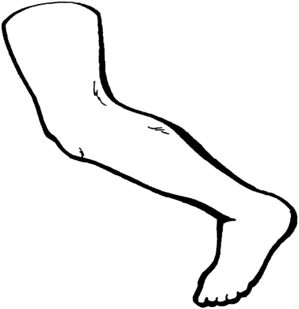 Dibujos para colorear de Partes del cuerpo, extremidades ... Dibujos para colorear de Partes del cuerpo, extremidades ...