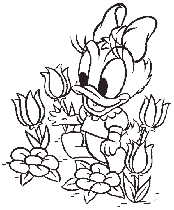 Dibujos para colorear de Pato Donald, Donald Duck, Paperino ...