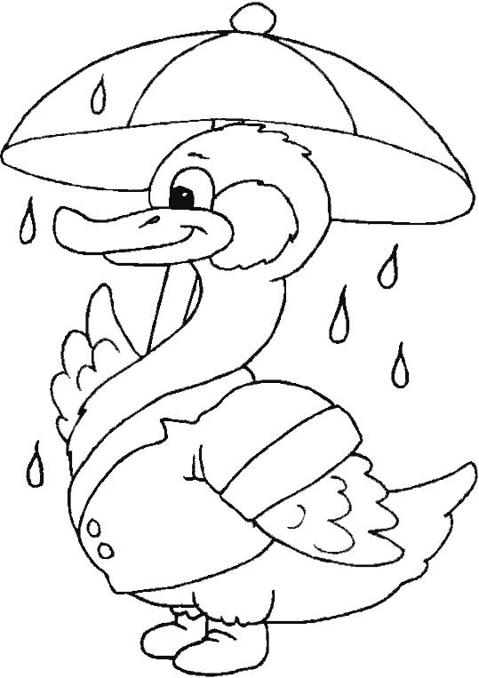 Patos en dibujos para colorear - Imagui