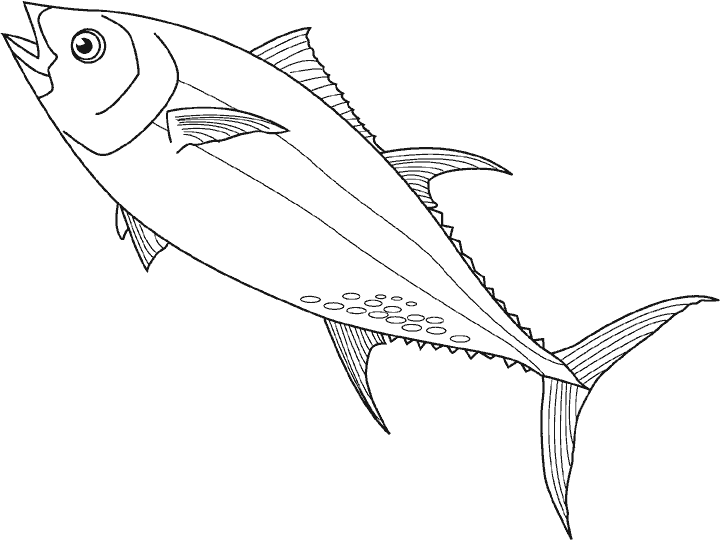 Dibujos para colorear de Peces, pez, Plantillas para colorear de ... Dibujos para colorear de Peces, pez, Plantillas para colorear de ...
