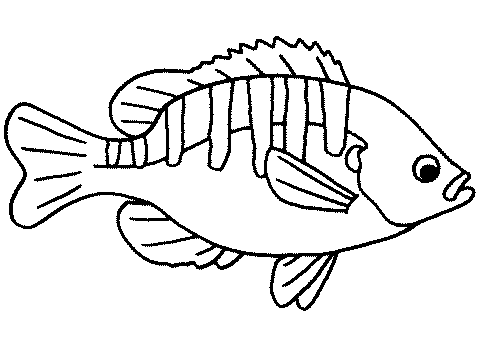 Dibujos para colorear de Peces, pez, Plantillas para colorear de ... Dibujos para colorear de Peces, pez, Plantillas para colorear de ...