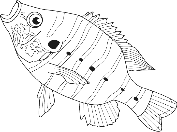 ECOESCUELA HUERTA SALAMA: Semana del Mar - Plantillas para peces