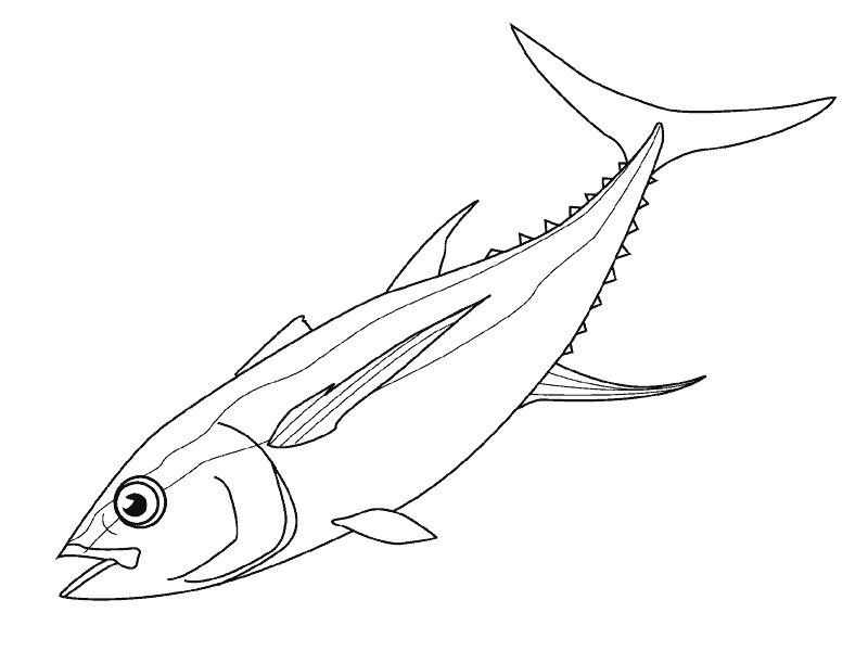 Dibujos para colorear de Peces, pez, Plantillas para colorear de ... Dibujos para colorear de Peces, pez, Plantillas para colorear de ...