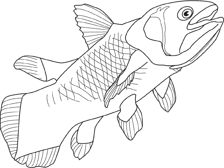 Peces con nombre para colorear - Imagui