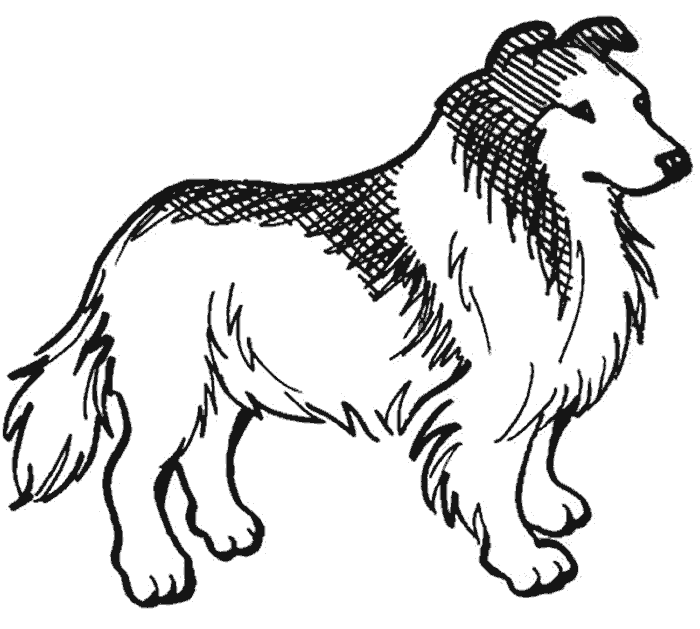 Dibujos para colorear de Perros, can, canino, Canis lupus ... Dibujos para colorear de Perros, can, canino, Canis lupus ...