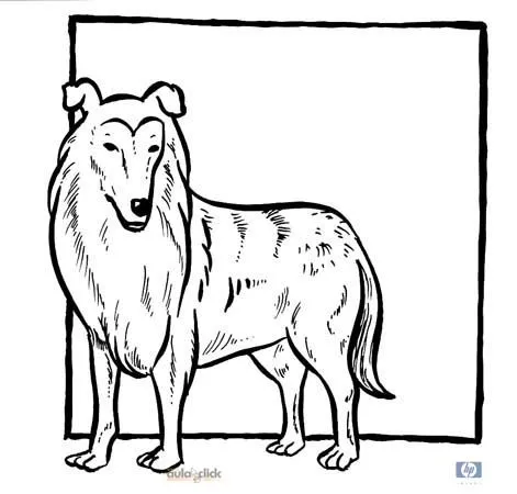 Dibujos para colorear de perros labradores - Imagui