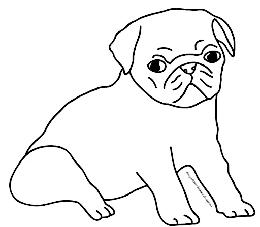Perros pug para colorear - Imagui