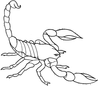 DIBUJOS PARA COLOREAR PINTAR IMAGENES: DIBUJOS DEL ESCORPION PARA ...