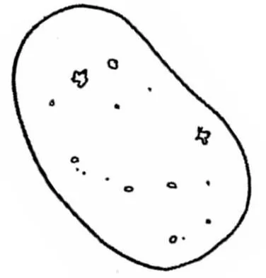 Papa verdura - Imagui