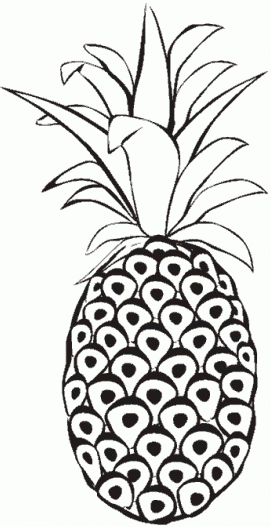 DIBUJOS PARA COLOREAR PINTAR IMAGENES: DIBUJOS DE PIÑAS PARA ...