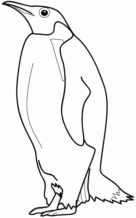 DIBUJOS PARA COLOREAR PINTAR IMAGENES: DIBUJOS DE PINGUINOS PARA ... DIBUJOS PARA COLOREAR PINTAR IMAGENES: DIBUJOS DE PINGUINOS PARA ...