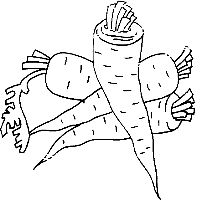 DIBUJOS PARA COLOREAR PINTAR IMAGENES: DIBUJOS DE ZANAHORIAS PARA ...