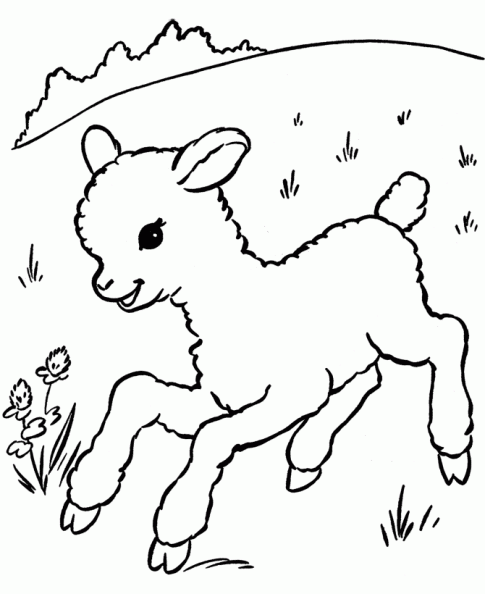 Dibujos para colorear y pintar para los niños Dibujos para colorear y pintar para los niños