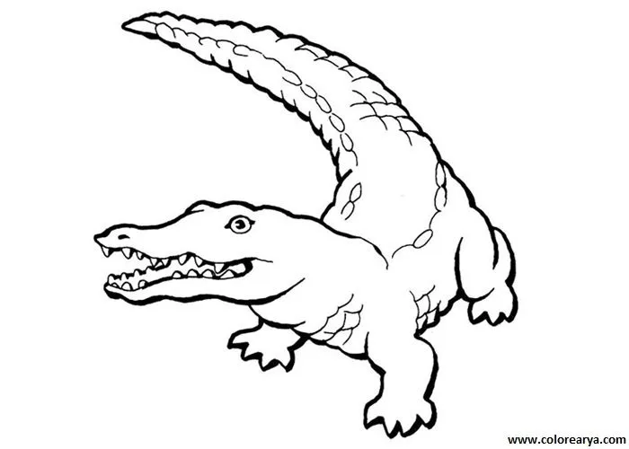 Dibujos Animados de Cocodrilos Para Colorear images