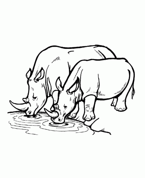 Dibujos para colorear y pintar para los niños Dibujos para colorear y pintar para los niños