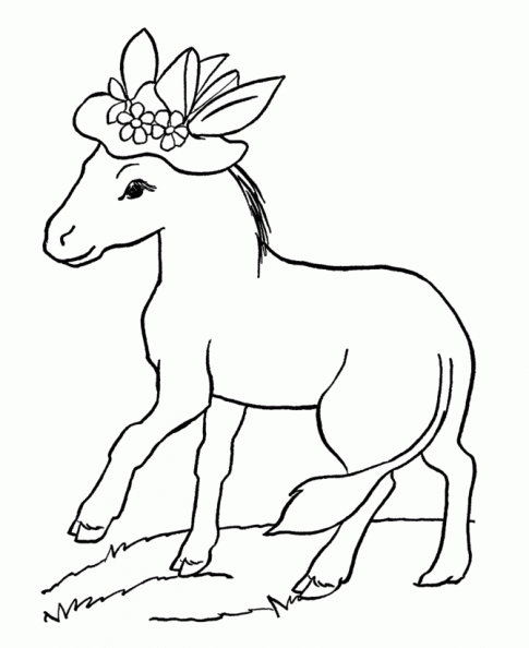 Imagenes de burros para colorear - Imagui