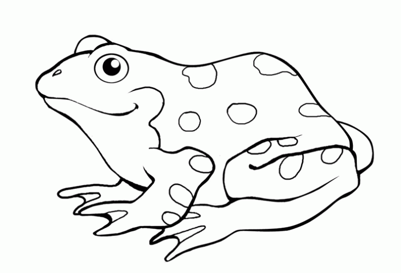 Dibujos para colorear y pintar para los niños Dibujos para colorear y pintar para los niños