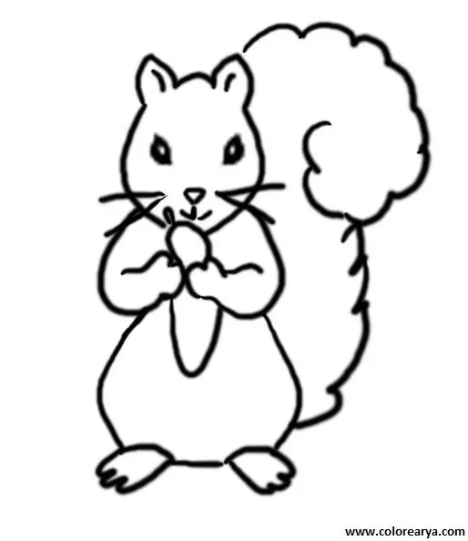 Dibujos para colorear y pintar para los niños Dibujos para colorear y pintar para los niños