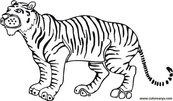 Dibujos para colorear y pintar para los niños Dibujos para colorear y pintar para los niños