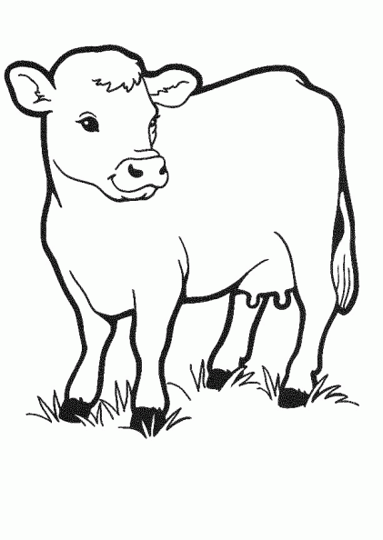 Vacas para niños - Imagui