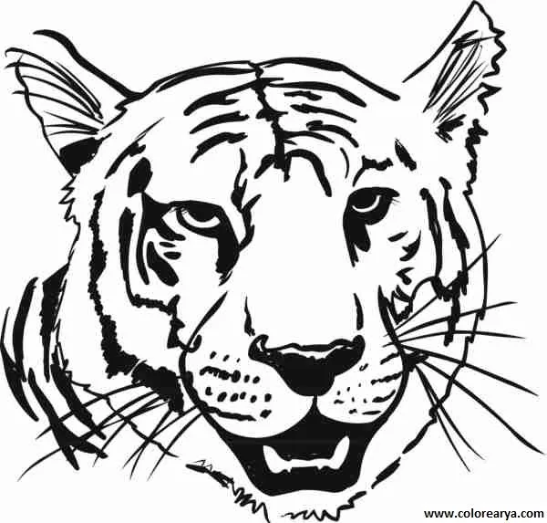 Free coloring pages