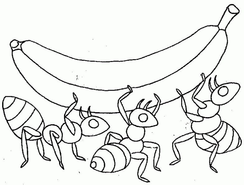 Dibujos para colorear y pintar para los niños Dibujos para colorear y pintar para los niños