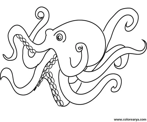 Dibujos para colorear y pintar para los niños Dibujos para colorear y pintar para los niños