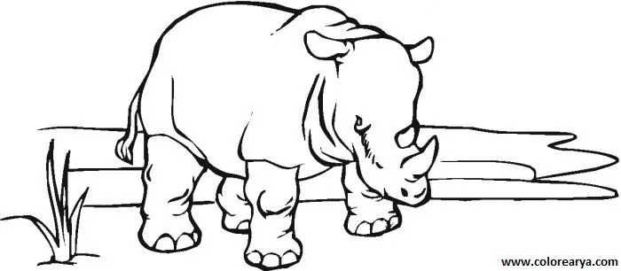 Dibujos para colorear y pintar para los niños Dibujos para colorear y pintar para los niños