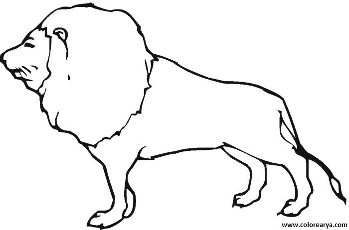 Dibujos para colorear y pintar para los niños