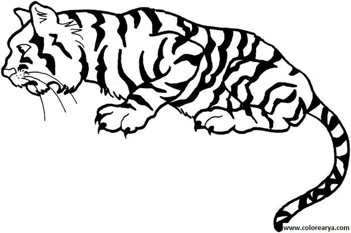 Dibujos para colorear y pintar para los niños Dibujos para colorear y pintar para los niños