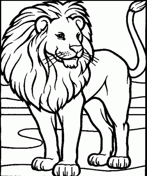 Dibujos para colorear y pintar para los niños Dibujos para colorear y pintar para los niños