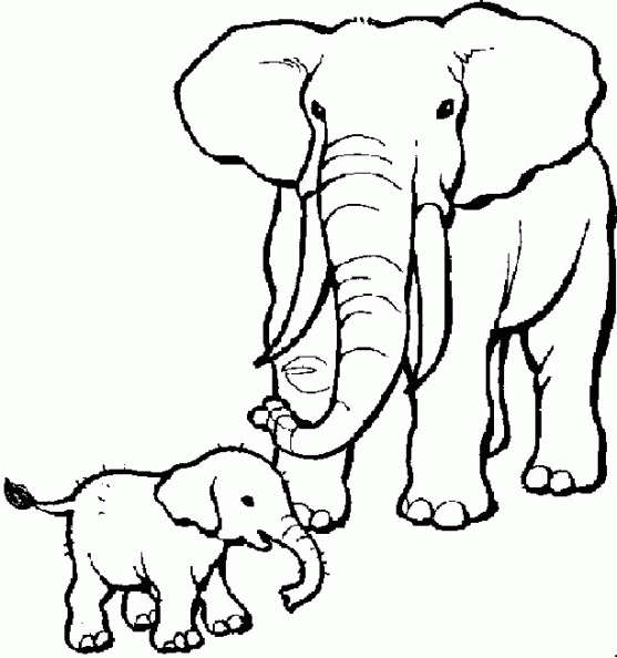 Dibujos para colorear y pintar para los niños Dibujos para colorear y pintar para los niños