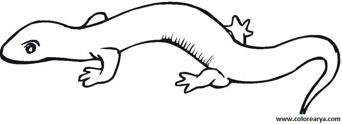 Dibujos para colorear y pintar para los niños Dibujos para colorear y pintar para los niños