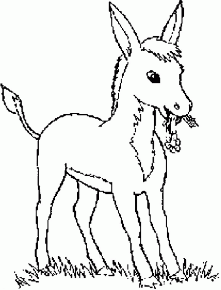 Dibujos para colorear y pintar para los niños