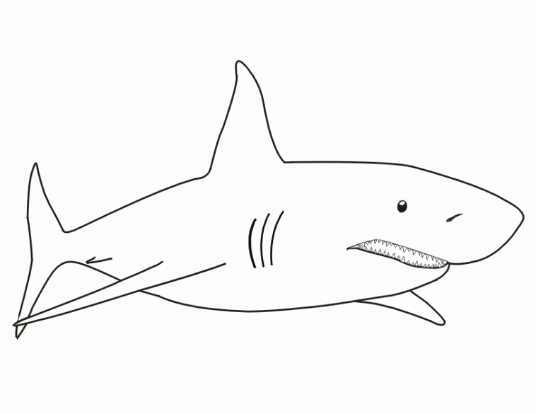 Dibujos para colorear y pintar para los niños Dibujos para colorear y pintar para los niños