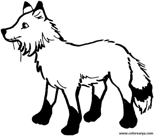 Dibujos para colorear y pintar para los niños Dibujos para colorear y pintar para los niños