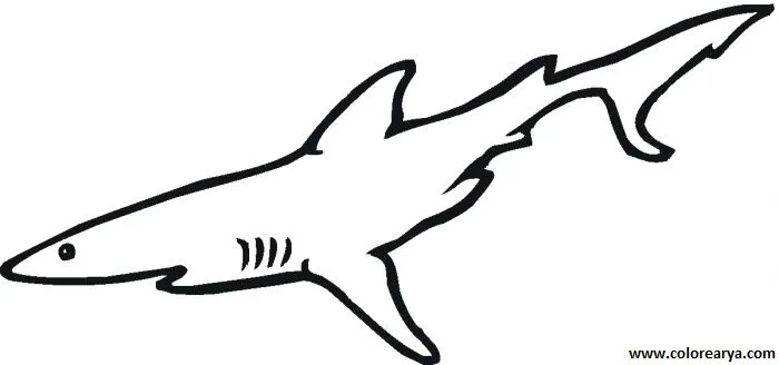 Dibujos para colorear y pintar para los niños Dibujos para colorear y pintar para los niños