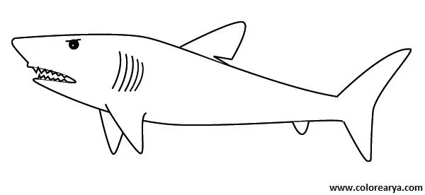 Dibujos para colorear y pintar para los niños Dibujos para colorear y pintar para los niños