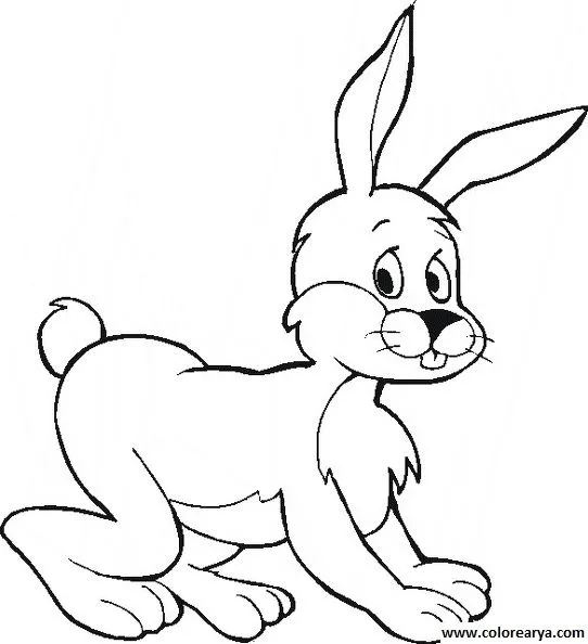 Dibujos para colorear y pintar para los niños Dibujos para colorear y pintar para los niños
