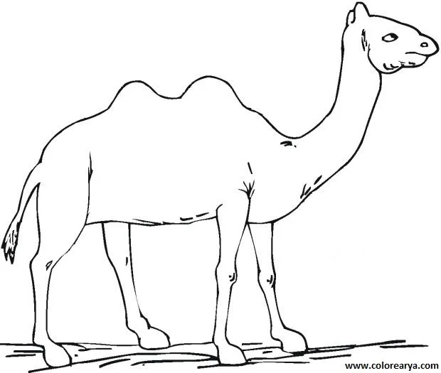 Dibujos para colorear y pintar para los niños Dibujos para colorear y pintar para los niños