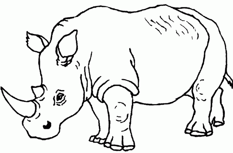 Dibujos para colorear y pintar para los niños Dibujos para colorear y pintar para los niños