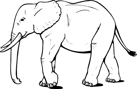 Dibujos para colorear y pintar para los niños Dibujos para colorear y pintar para los niños
