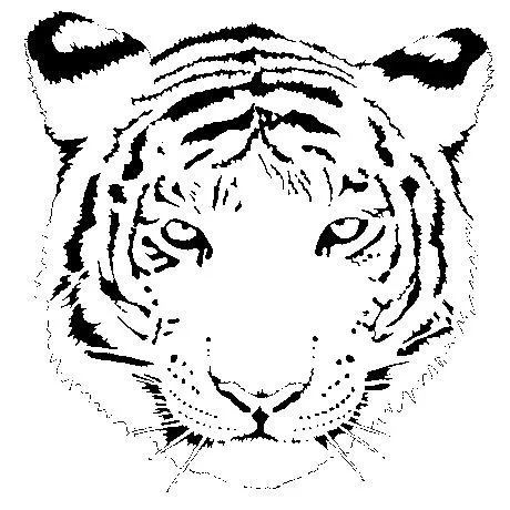 Dibujos para colorear y pintar para los niños Dibujos para colorear y pintar para los niños