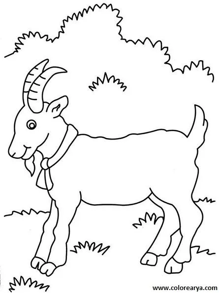 Dibujos para colorear y pintar para los niños Dibujos para colorear y pintar para los niños