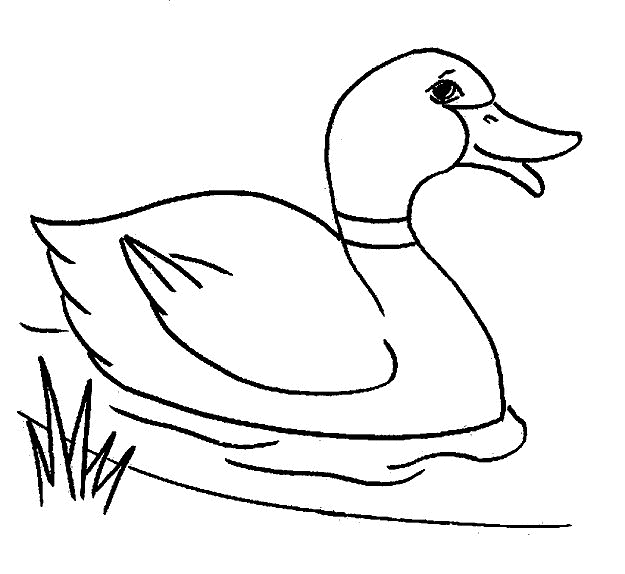 Dibujos para colorear y pintar para los niños Dibujos para colorear y pintar para los niños