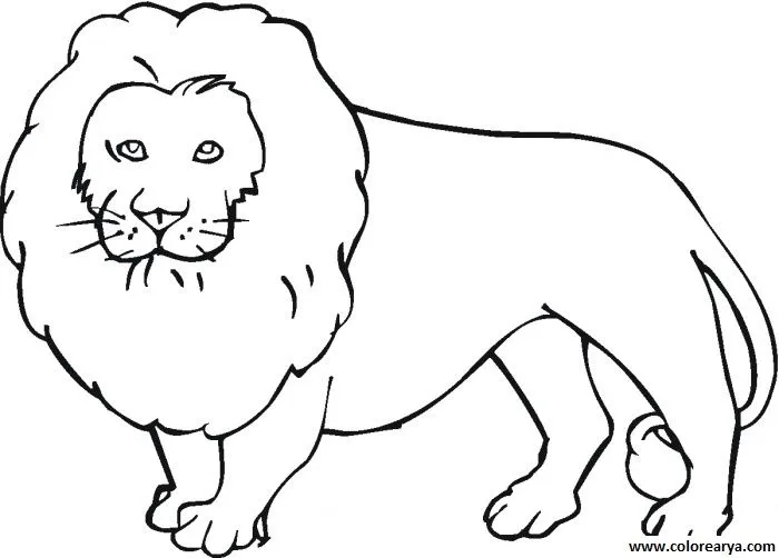 Dibujos para colorear y pintar para los niños Dibujos para colorear y pintar para los niños